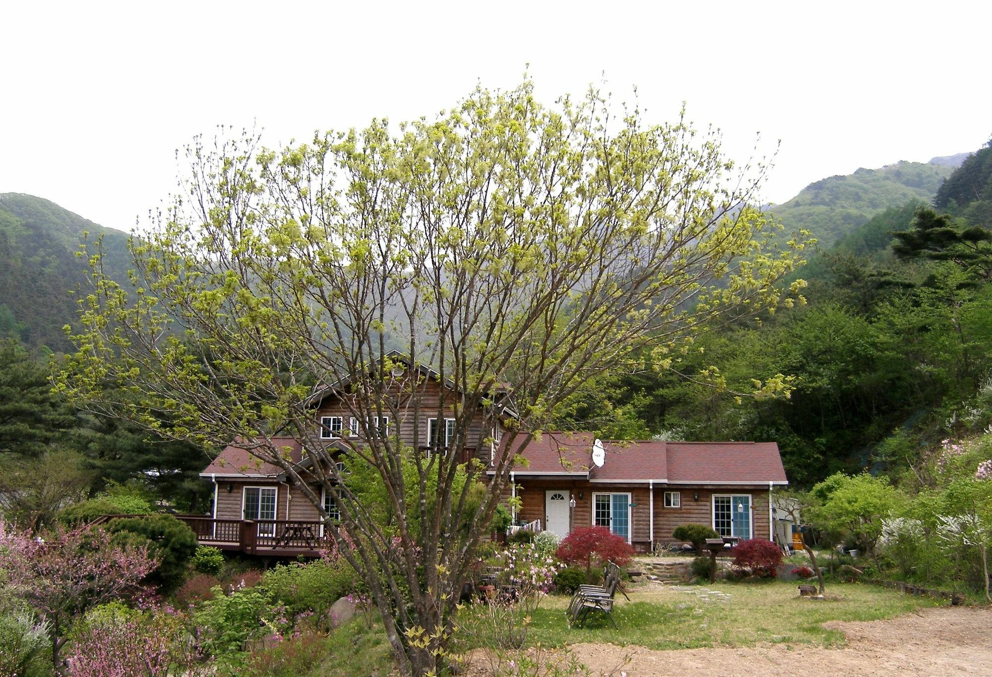 Fairy Tale Pension Pyeongchang Exterior foto