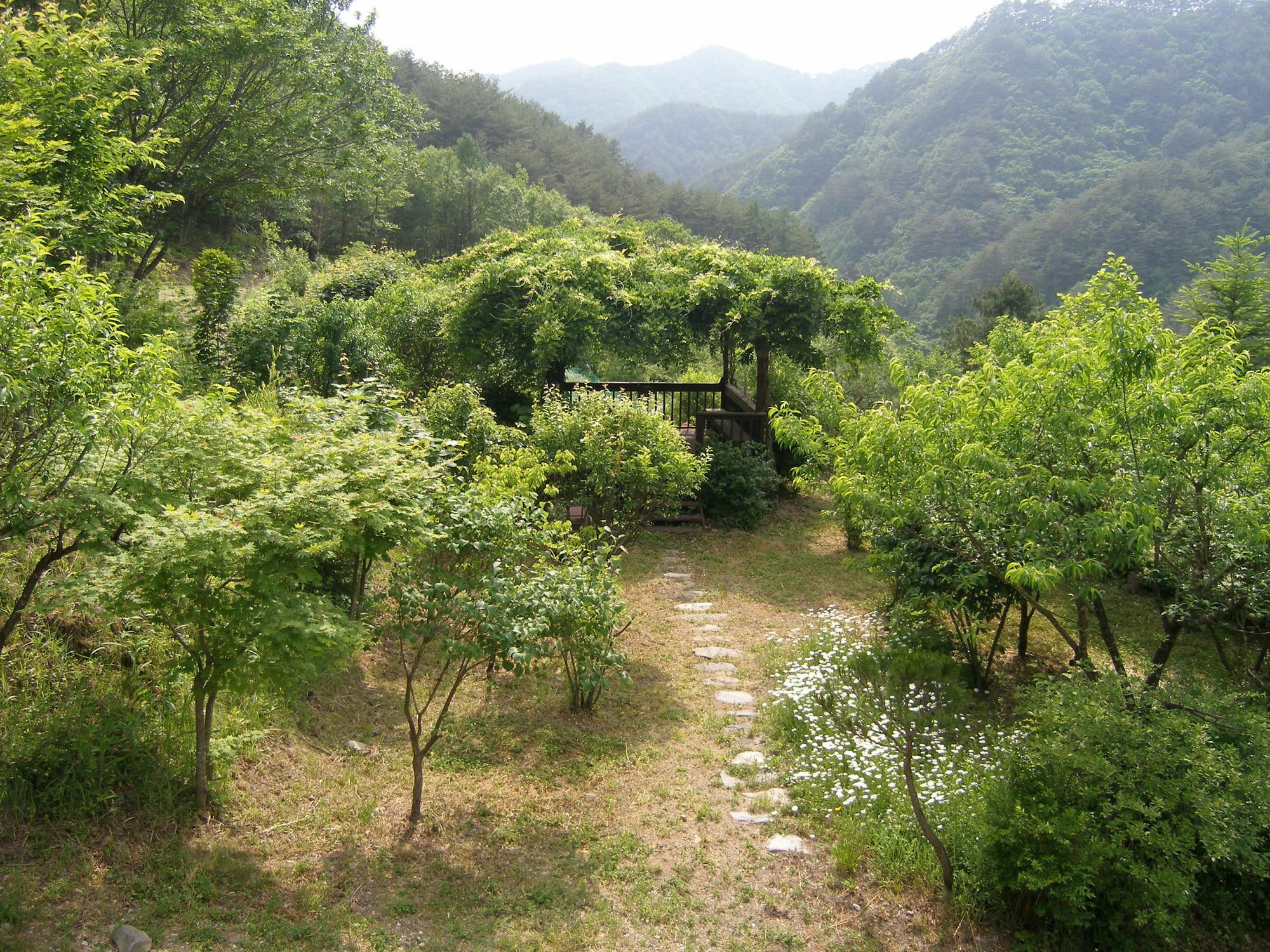 Fairy Tale Pension Pyeongchang Exterior foto